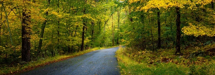 RootCare MD in Manahawkin NJ RootCare MD in Manahawkin NJ
