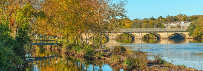 RootCare MD in Toms River NJ RootCare MD in Toms River NJ